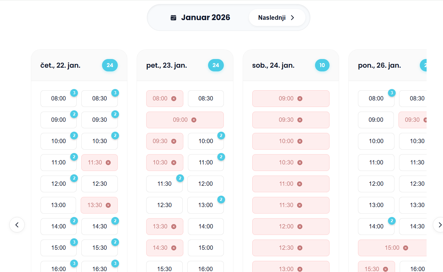 Public preview strani